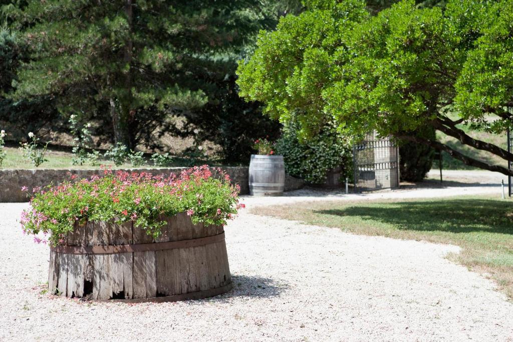 Tenuta San Filippo Montalcino Zewnętrze zdjęcie
