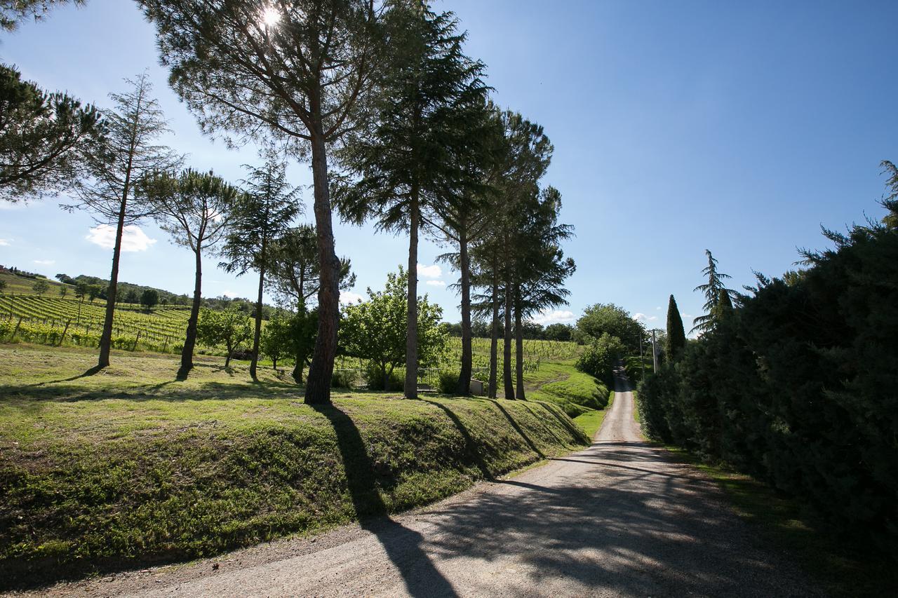 Tenuta San Filippo Montalcino Zewnętrze zdjęcie